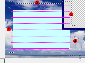 罫線トリミング